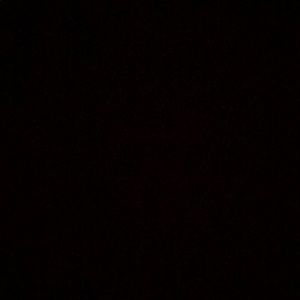 Meet your Posher, Nealie